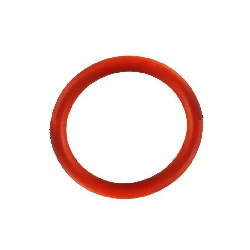 O-ring Ø 53
