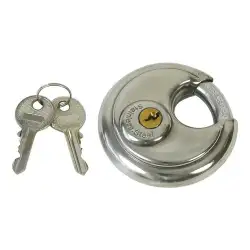 Anti-theft stabilizer ws-3000 disc