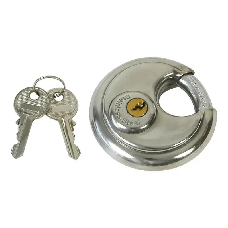 Anti-theft stabilizer ws-3000 disc