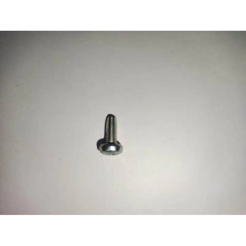 C 3402/6002 m4 x 10 burner screw