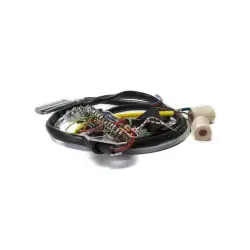 Cableado completo e-2400/12v.