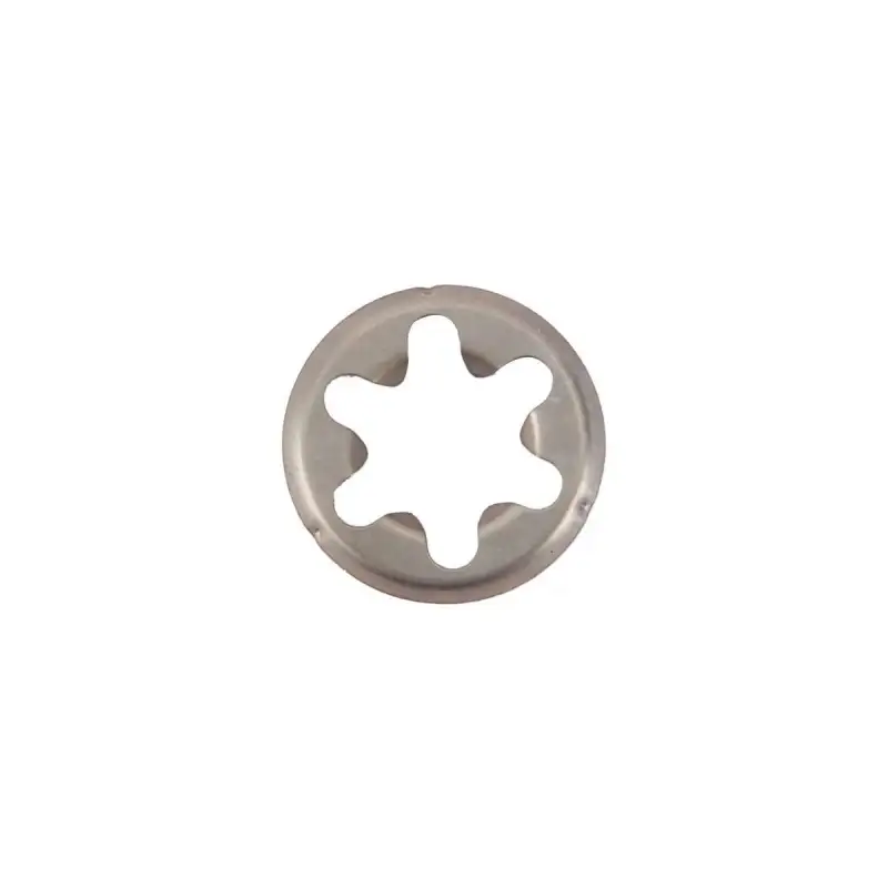 Bearing spring e 2400