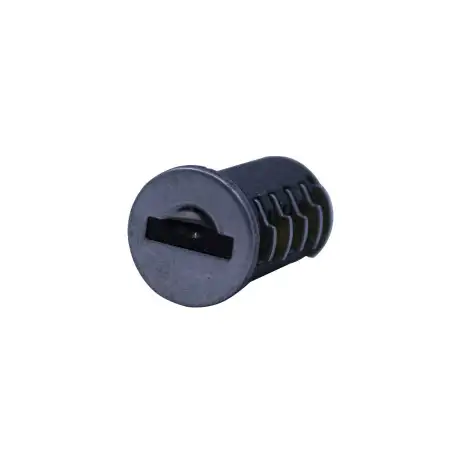 Oval gate lock cylinder