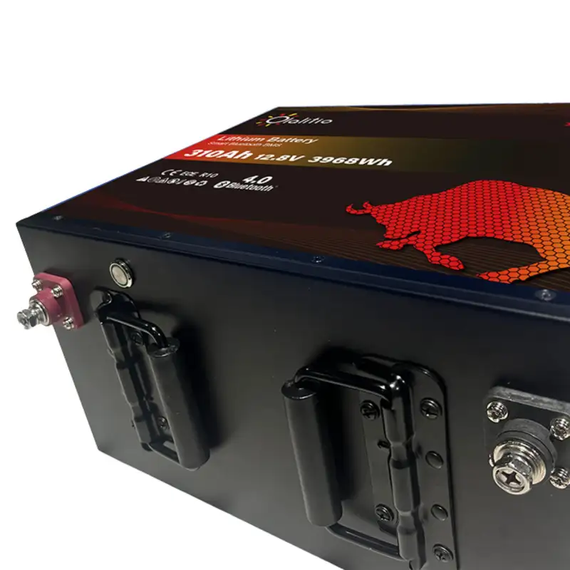Lithium-Lifepo4-Batterie 310 Ah mit Heizungen