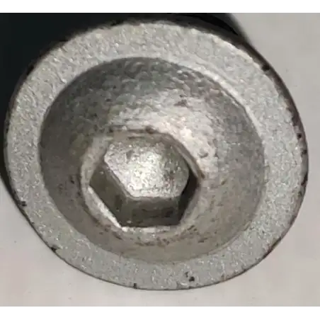 Parafuso de fixação da placa