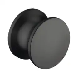 Matte black threaded button