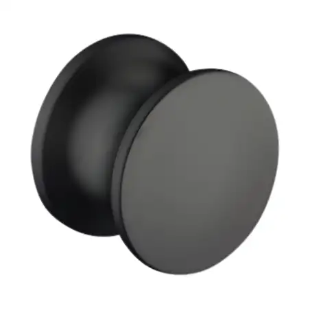 Matte black threaded button