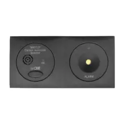 cbe 12v alarm. gray carbon monoxide bmtco