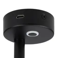 Foco de superficie orientable negro de intensidad regulable con usb-c 12v 5.000k 120lm