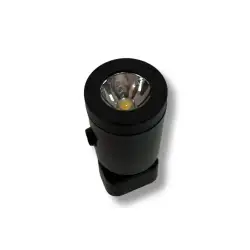 Black rail spotlight