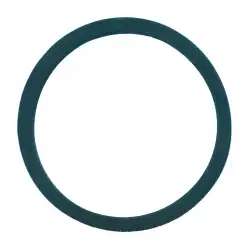 Tank plug rubber gasket