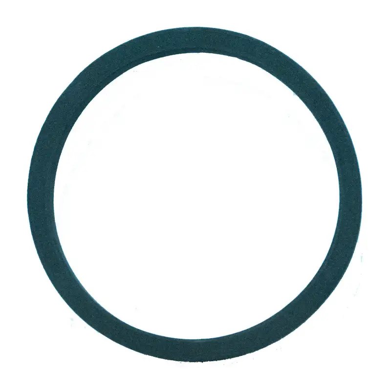 Tank plug rubber gasket