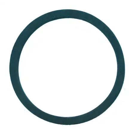 Tank plug rubber gasket