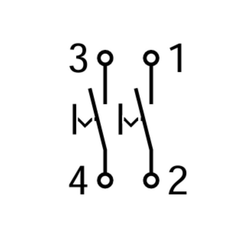 Interruptor unipolar doble - 2 circuitos independientes 10a
