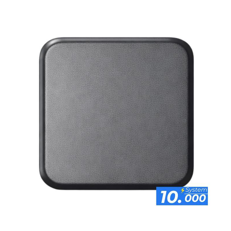 Pulsador interruptor gris oscuro (sistema 10.000)