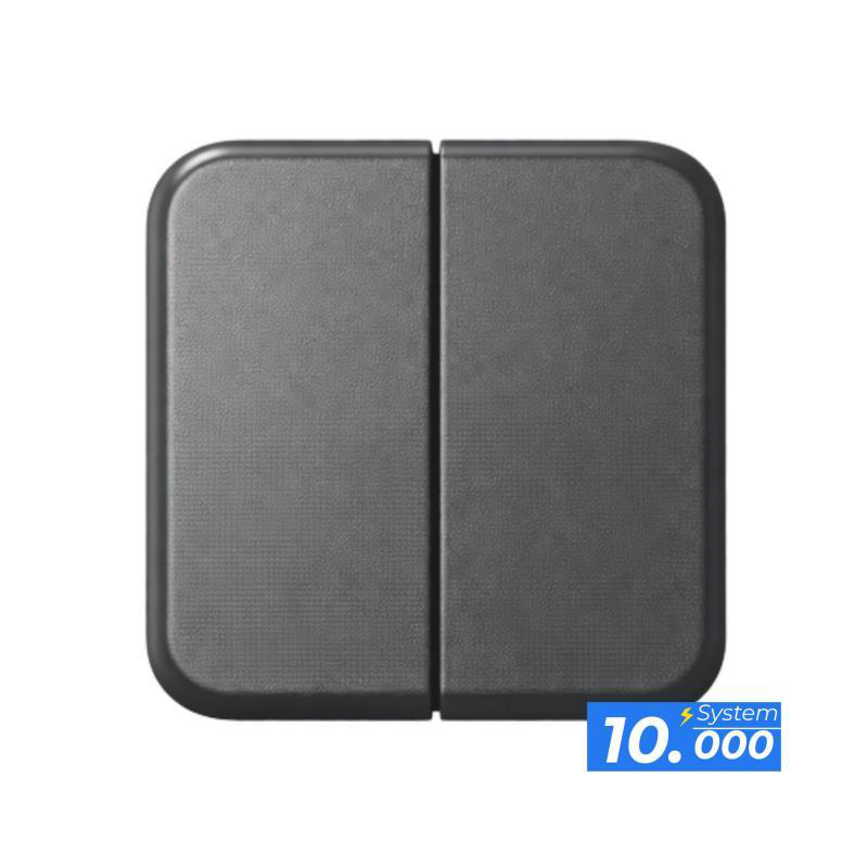 Pulsador doble interruptor gris oscuro (sistema 10.000)