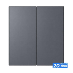 Pulsador doble interruptor gris oscuro (serie 20.000)