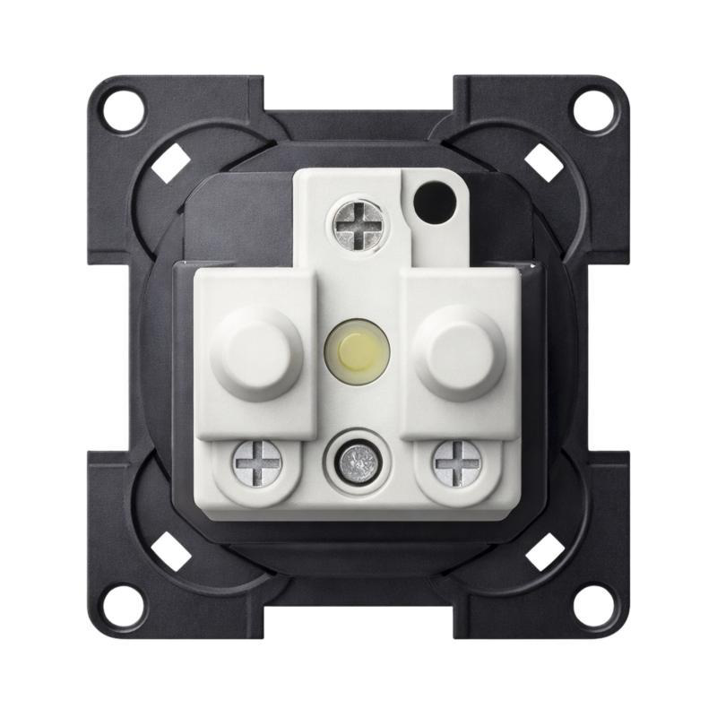 Enchufe 220v plata (sistema 10.000)