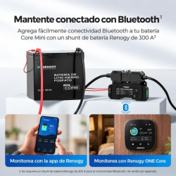 BaterÍa de litio 100ah renogy 12v lifepo4 (mini)
