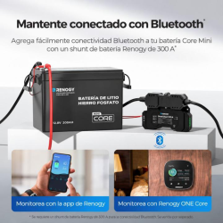 BaterÍa de litio 200ah renogy 12v lifepo4 (mini)