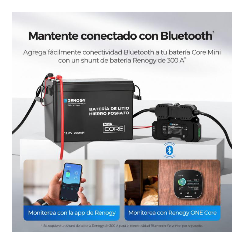 BaterÍa de litio 200ah renogy 12v lifepo4 (mini)