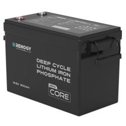 BaterÍa de litio 300ah renogy 12v lifepo4 (mini)