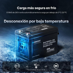 BaterÍa de litio 300ah renogy 12v lifepo4 (mini)