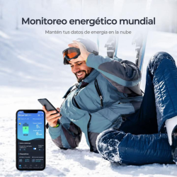 Pantalla de monitoreo renogy one core