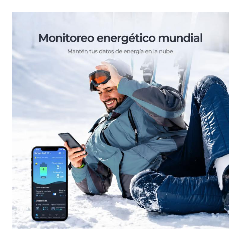 Pantalla de monitoreo renogy one core